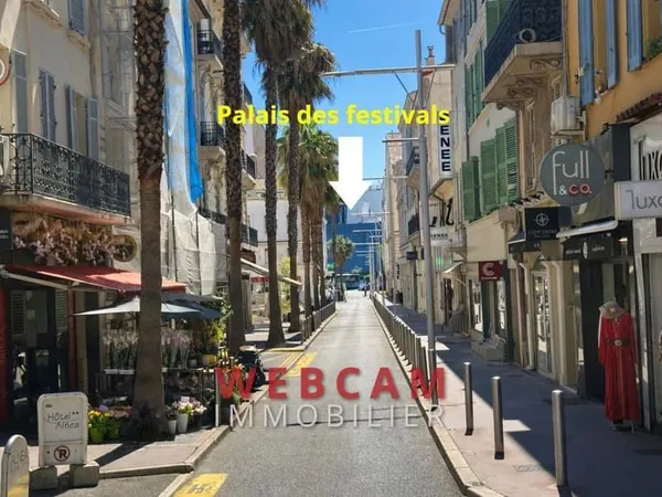 professionnel