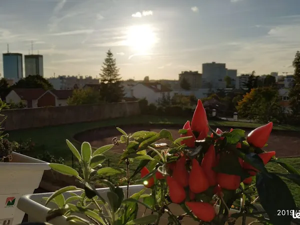 Bel F3 rénové à Bagnolet