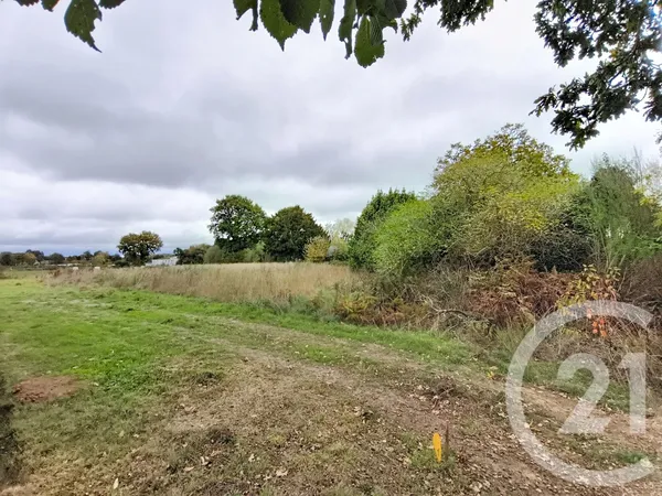 Terrain 2667 m²