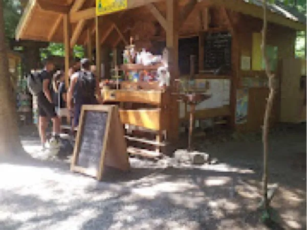 Fond et murs accrobranche hautes alpes