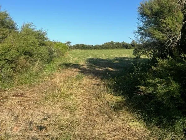 Terrain naturel de 8 990 m² - Valeyrac, proche de l'estuaire