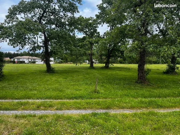 Terrain LANGON 1164 m²