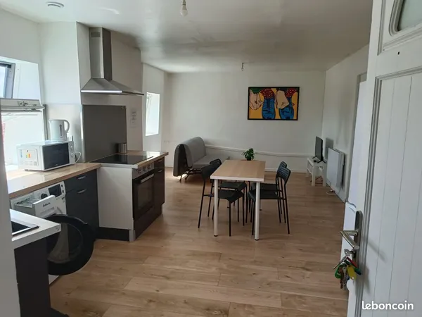 Apt 50 m2 tres lumineux tres beau calme