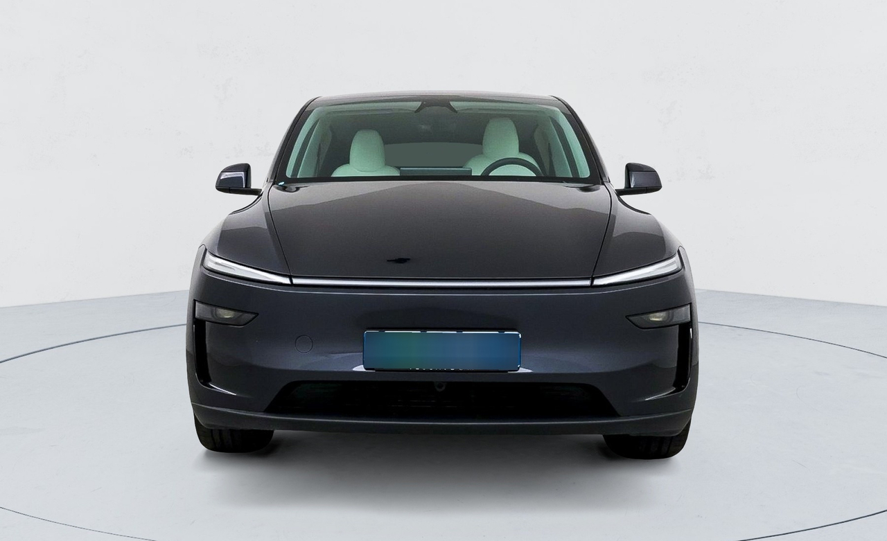 Tesla Model Y — photo 8