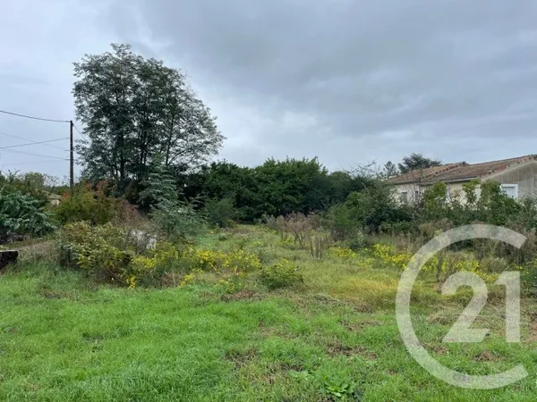 Terrain 584 m²