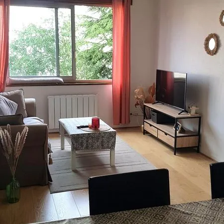 Appartement meuble + parking fac jean monnet trefilerie
