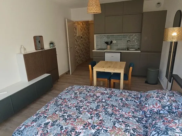 Location studio meublé plan des 4 seigneurs Montpellier