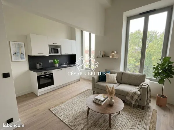 Duplex 1 pièce 32 m²