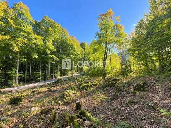 Terrain 1023 m²