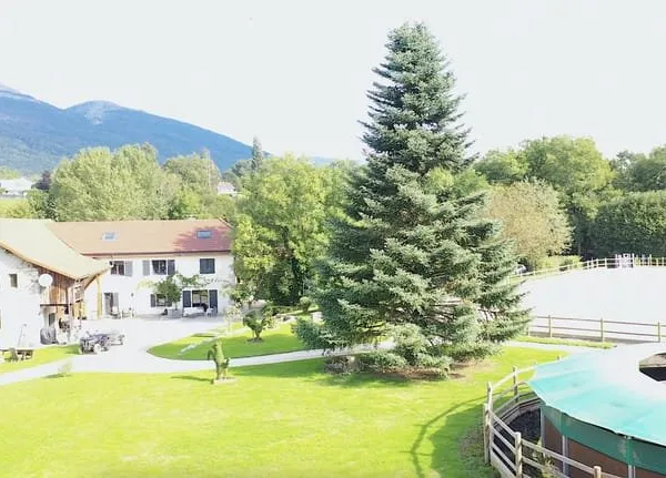 Maison 10 pièces 300 m²