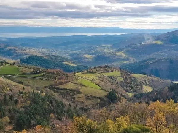 À vendre magnifiques forêts et prairie Ardèche du nord