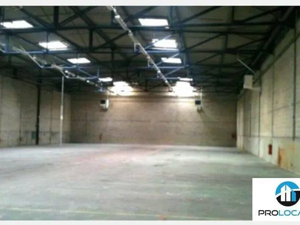 Local d'activité 983 m²