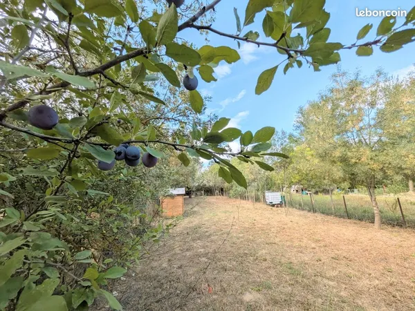 Terrain de loisir arboré de 300 m² avec cabanon + eau - Narbonne