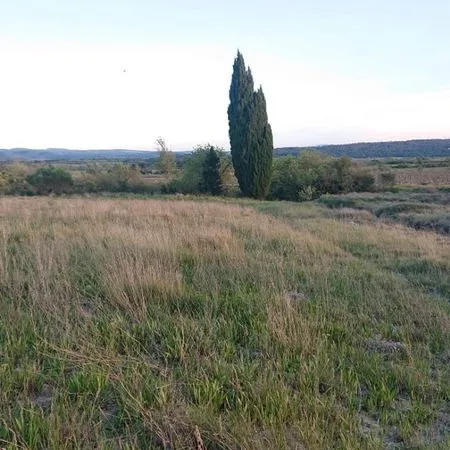 Loue terrain pour chevaux de 6830m2 🐴