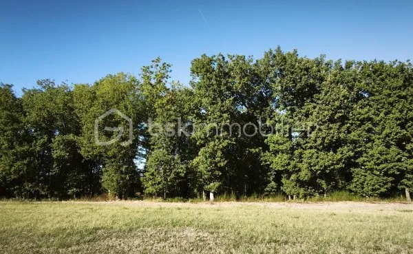 Terrain 825 m²
