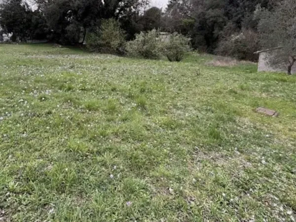 Terrain 550 m²