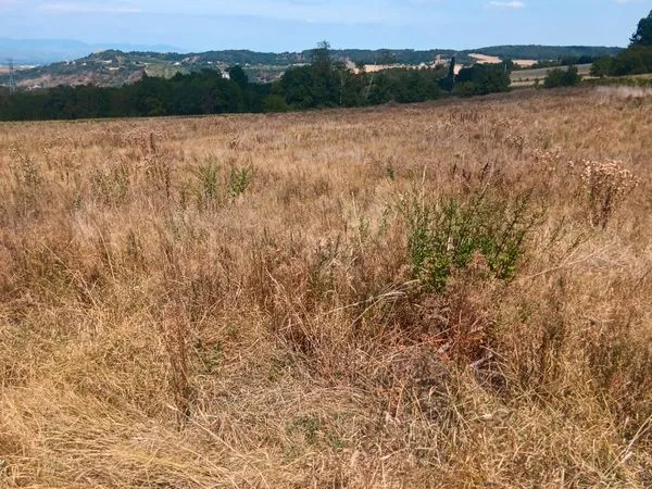 Terrain agricole