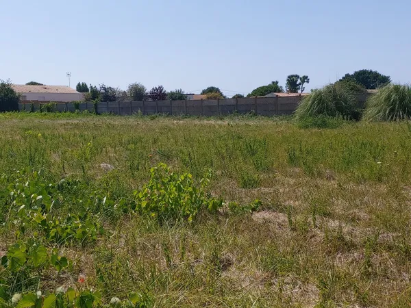 Terrain 2950 m²