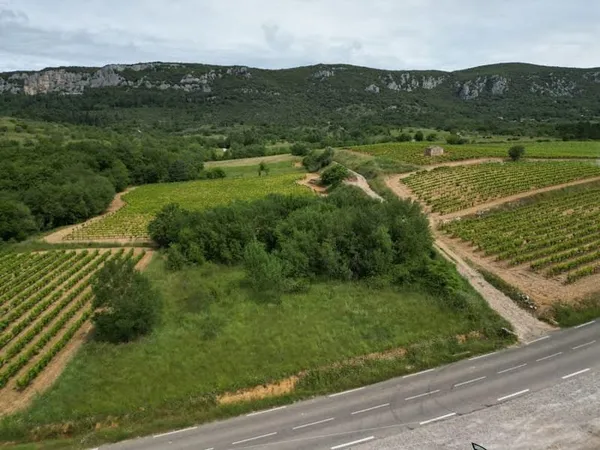 Terrain 2174 m²