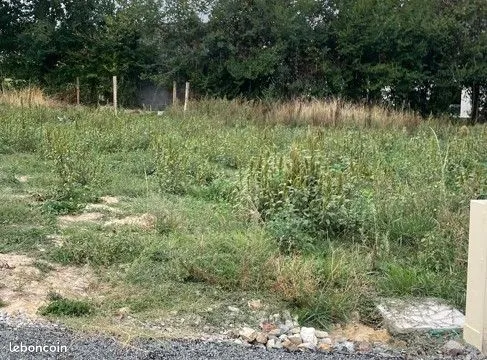 Terrain 1 887 m² Nouatre