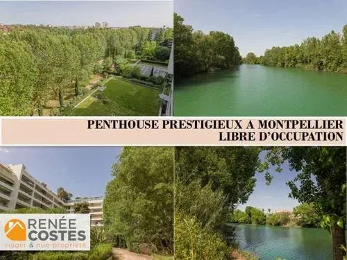 Viager 6 pièces 305 m²