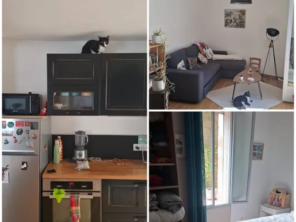 Appartement T2 traversant avec jardin arboré