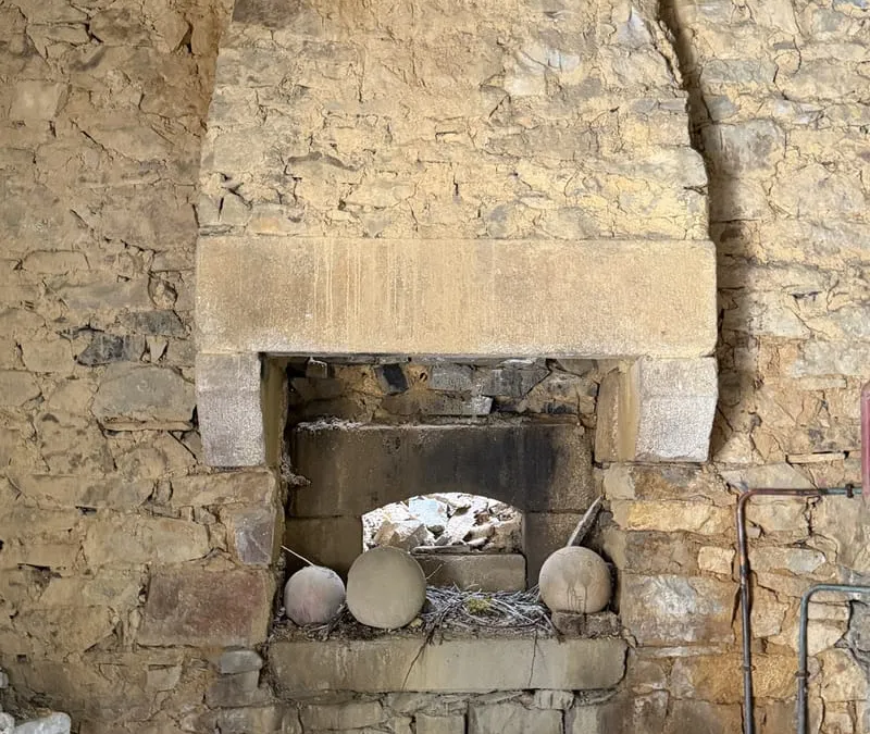 Photo 11