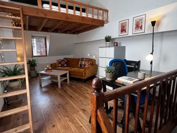 Duplex 1 pièce 28 m²