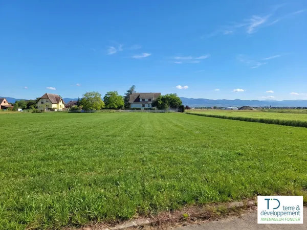 Terrain en individuel 349 m²
