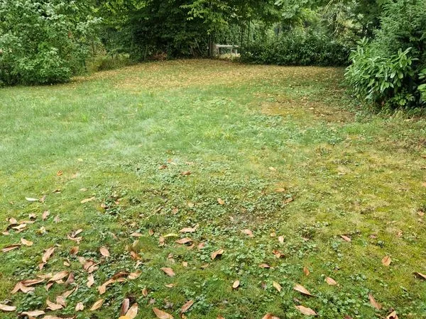 Appartement à Fayl billot