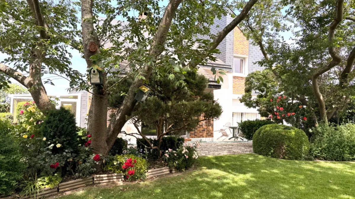 Photo 19
