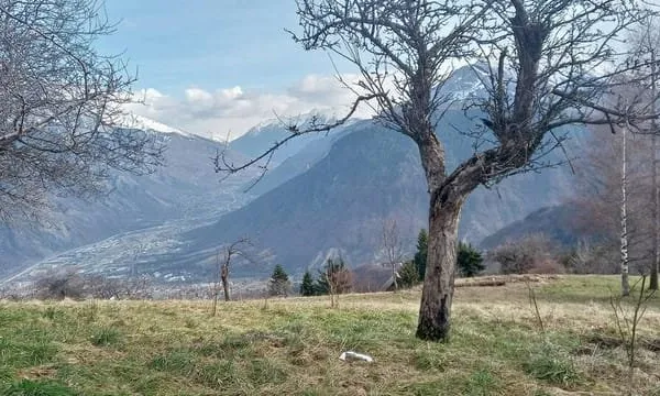 Parcelle de Terrain de 656m2 sur les hauteurs de la commune de JARRIER.