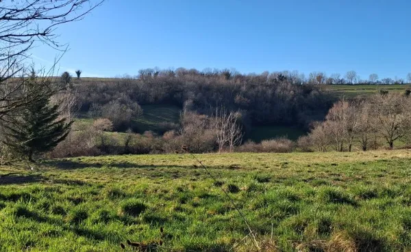 A saisir – Terrain constructible 857 m² – Geruge   