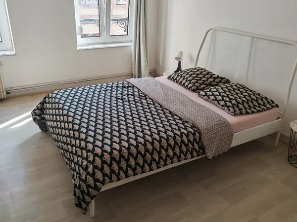 Appartement 3 pieces strasbourg centre