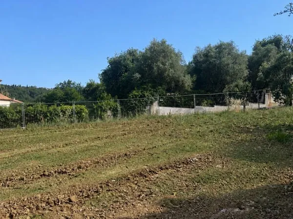 Terrain 785 m²