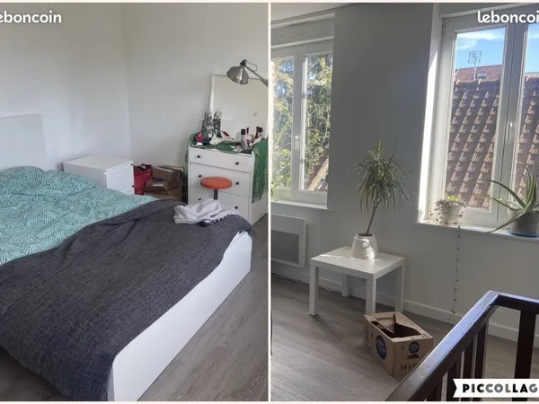 Appartement 2 pièces 46 m²
