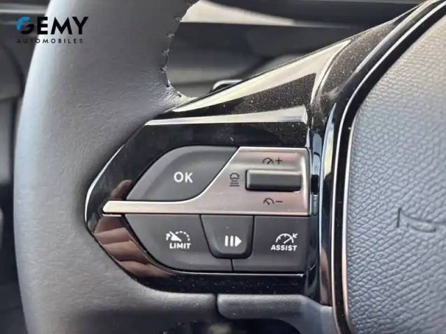 Peugeot 308 hybrid 145 e-dcs6 — photo 19