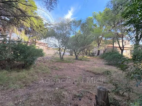 Vente terrain