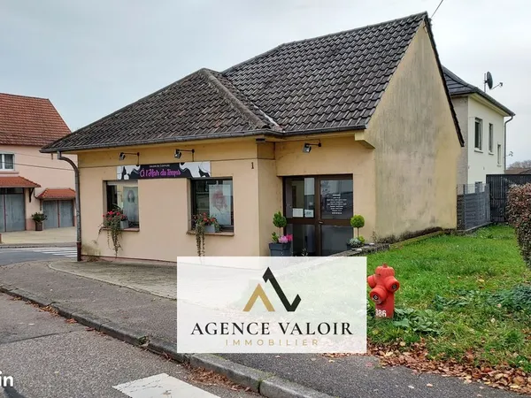 Local 94 m² Sarreguemines