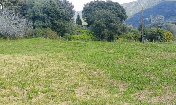 Terrain 2608 m² Ajaccio
