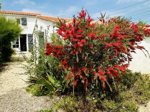 Vends maison au calme sans vis-à-vis