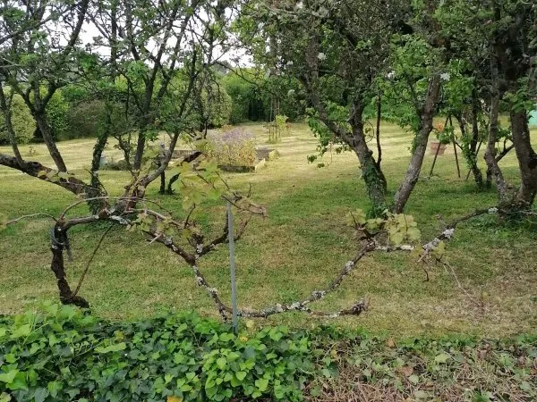 Terrain 779 m²