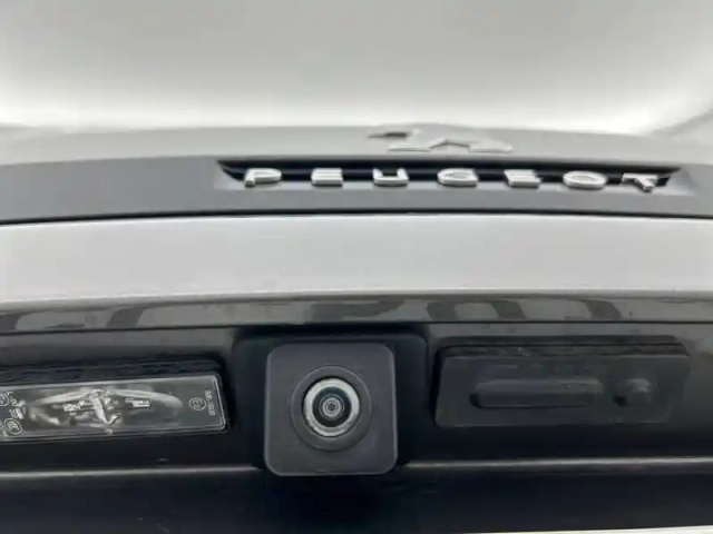 Peugeot 3008 hybrid 225 e-eat8 — photo 46