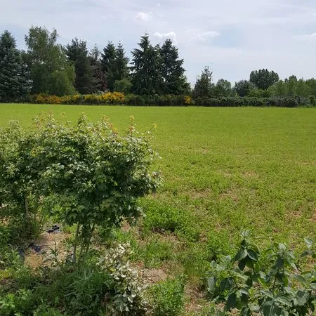 Terrains à bâtir
