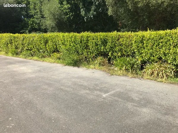 Places de parking Cap Coz Fouesnant