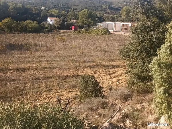 Vends terrain Agricole