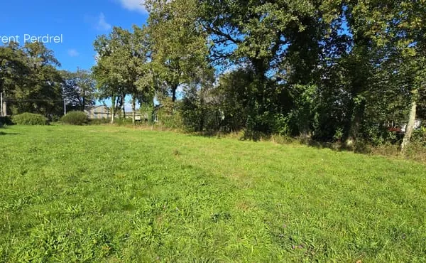 Terrain 846 m²