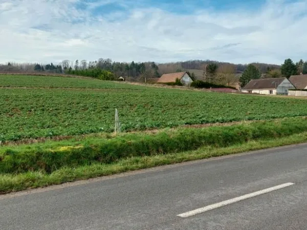 Terrain agricole Grauves (Marne)