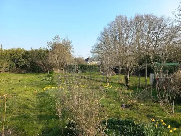 Terrain 699 m²