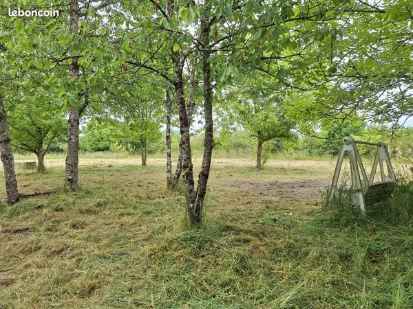 Terrain de loisirs